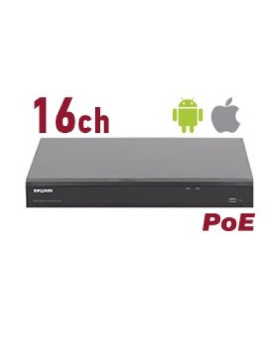 RK2216-P. Видеорегистратор IP 16-канальный. Beward в Реутове