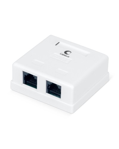 WS-8P8C-Cat.6-2 (7482c): Розетка RJ-45 в Реутове
