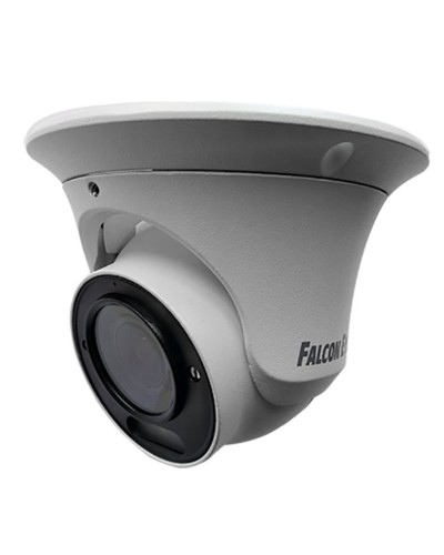 FE-IPC-DV5-40pa. Видеокамера IP купольная. Falcon EYE в Реутове