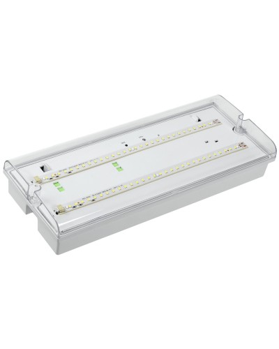 Светильник аварийный ДПА 5042-1 1ч IP65 LIGHTING (LDPA0-5042-1-65-K01). Светильник аварийный универсальный. IEK в Реутове