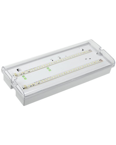Светильник аварийный ДПА 5042-3 3ч IP65 LIGHTING (LDPA0-5042-3-65-K01). Светильник аварийный универсальный. IEK в Реутове
