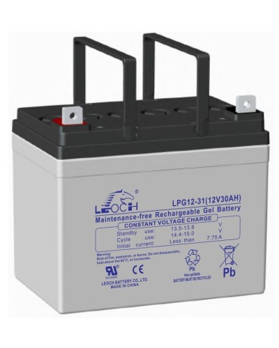 LEOCH LPG 12-31. Аккумулятор герметичный свинцово-кислотный. LEOCH в Реутове