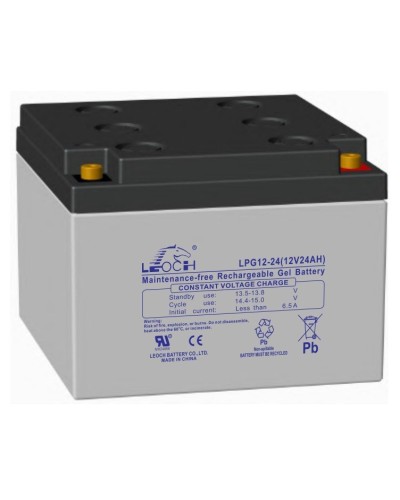 LEOCH LPG 12-24. Аккумулятор герметичный свинцово-кислотный. LEOCH в Реутове