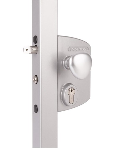 LIKQ4040 U2L (цвет: RAL 9005, черный). Замок электромеханический для калиток. Locinox в Реутове